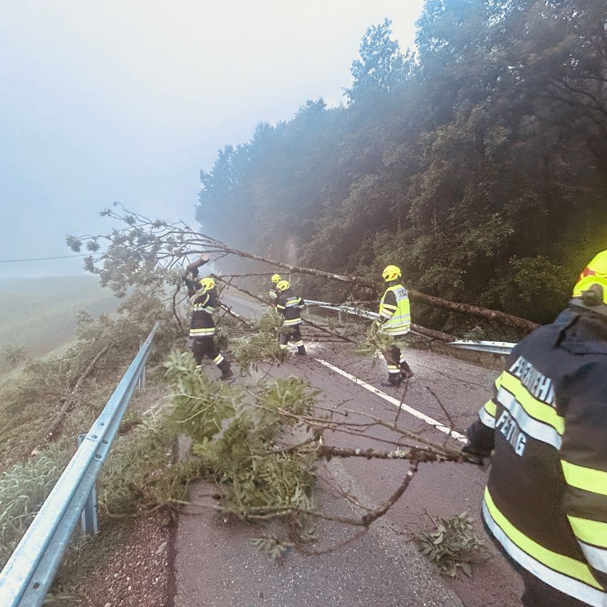Feuerwehrleute räumen einen umgestürzten Baum von der Straße, einer hält einen Ast fest und andere helfen.
