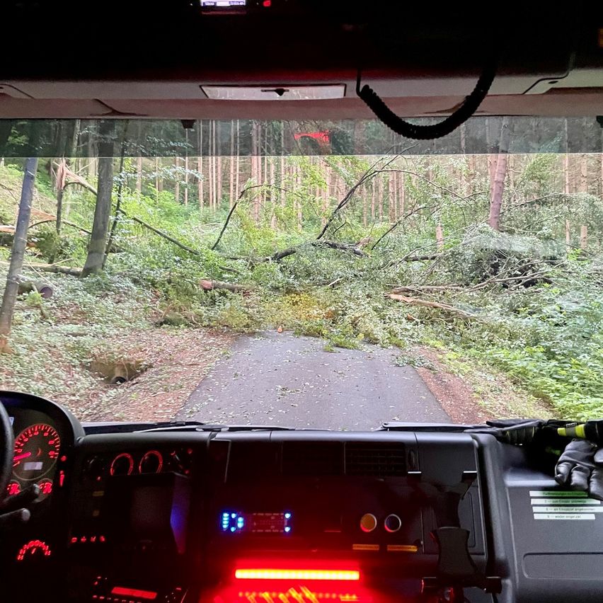 Blick aus dem Cockpit eines Fahrzeugs auf eine Straße mit umgestürzten Bäumen, umgeben von einem dichten Wald. Die Straße ist blockiert, und das Armaturenbrett zeigt verschiedene Anzeigen und Indikatoren.