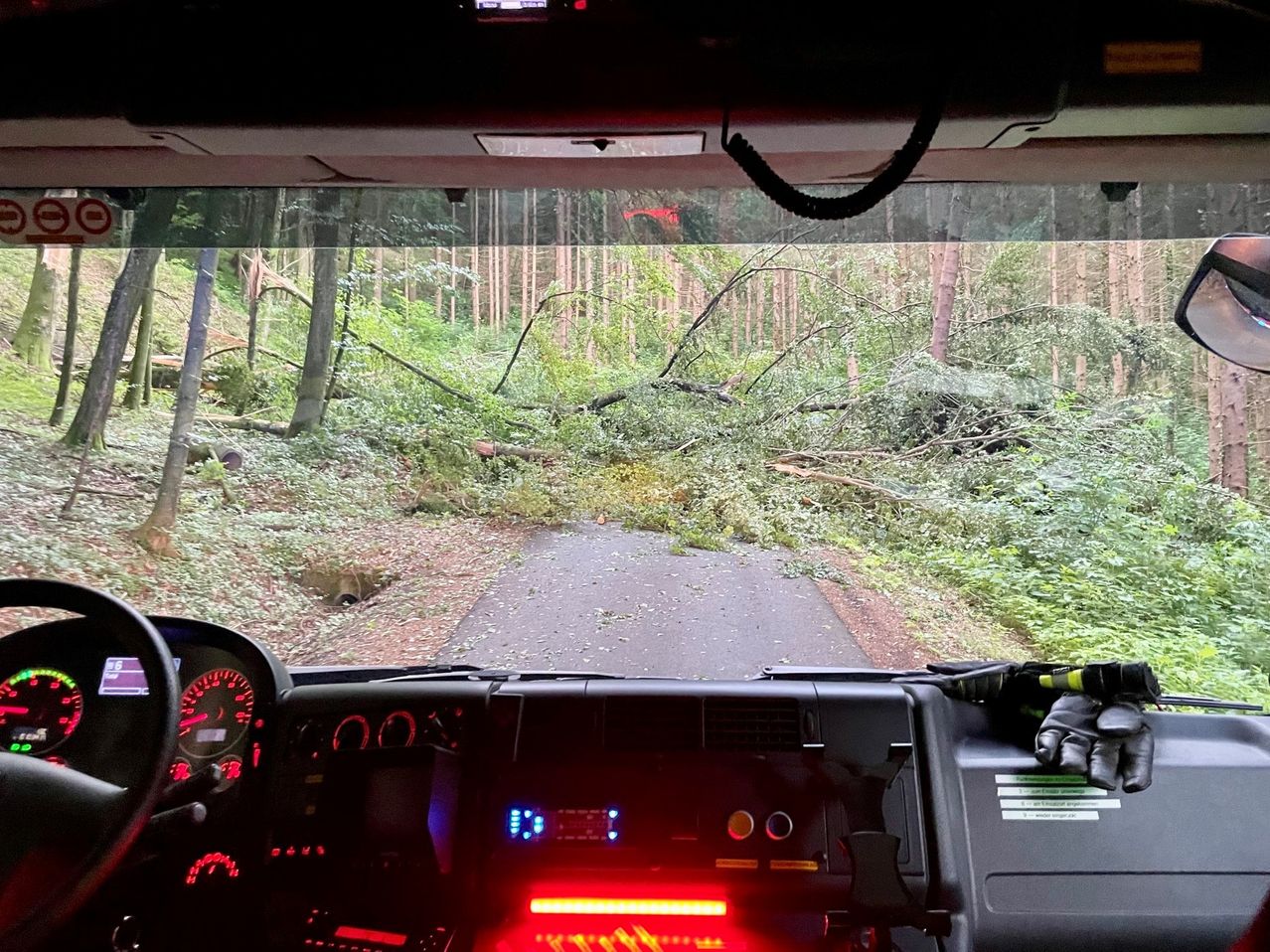 Blick aus dem Cockpit eines Fahrzeugs auf eine Straße mit umgestürzten Bäumen, umgeben von einem dichten Wald. Die Straße ist blockiert, und das Armaturenbrett zeigt verschiedene Anzeigen und Indikatoren.