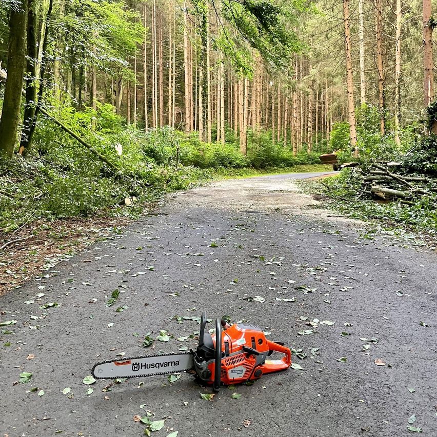 Eine Kettensäge liegt auf einem Waldweg mit verstreuten Blättern, ein Fahrzeug ist in der Nähe geparkt.