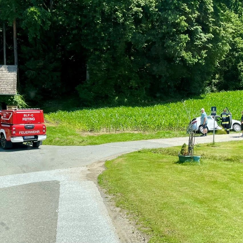 Ein roter Feuerwehrwagen steht auf einer Straße. Zwei Personen stehen in der Nähe von zwei Autos, eines davon mit einem Mann in einer gelben Weste. Das Gebiet ist von grünen Bäumen und Gras umgeben.