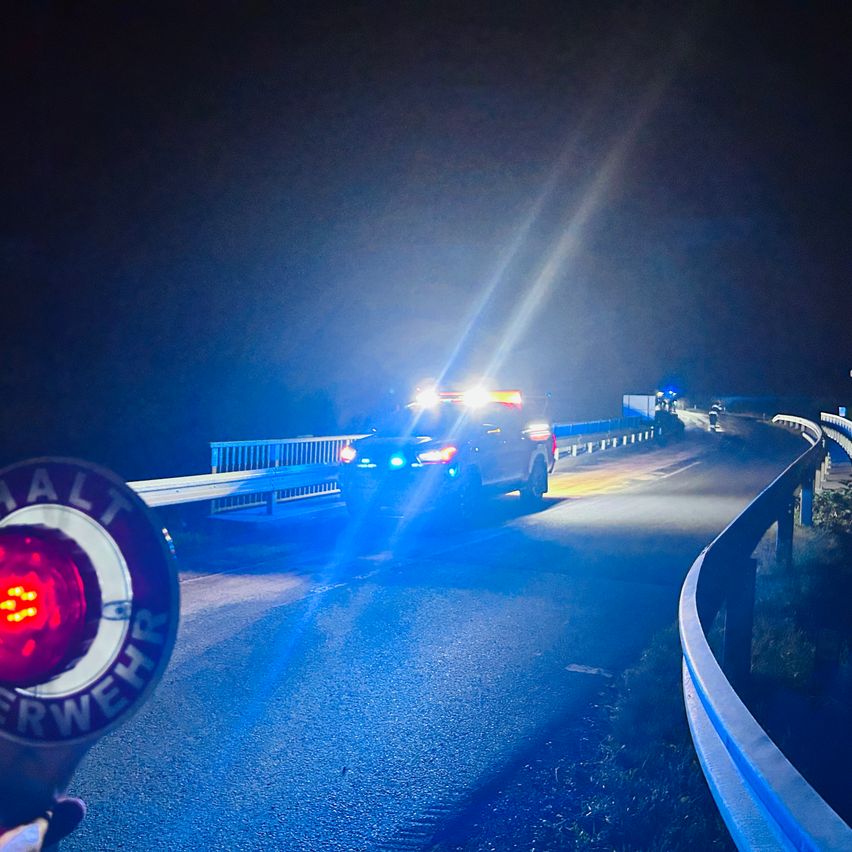 Ein Polizeiwagen mit blinkenden Lichtern fährt nachts eine kurvenreiche Straße. Eine Person hält ein Verkehrssignallicht mit 'HALT' und 'ERWEHR' darauf.