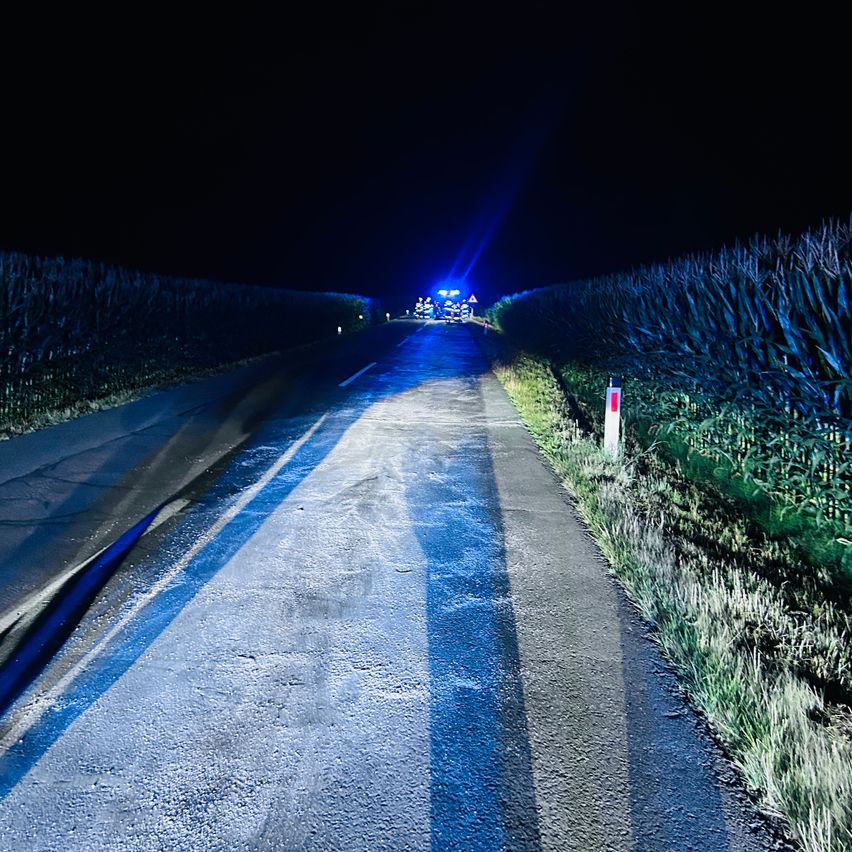 Eine Nachtszene mit einer Straße, die von blauen Lichtern beleuchtet wird. Ein Rettungsfahrzeug steht auf der Straße. Maisfelder flankieren die Straße auf beiden Seiten.