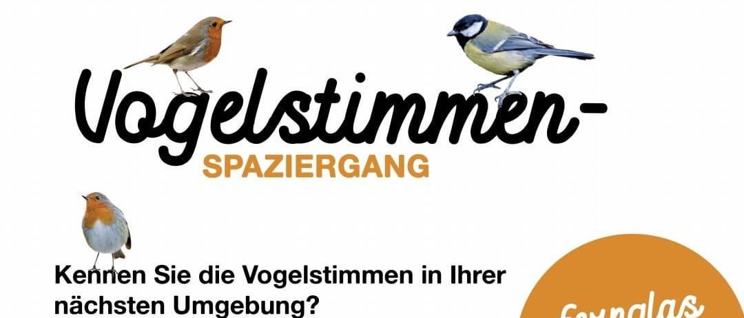 Advertisement, Poster, Animal, Bird