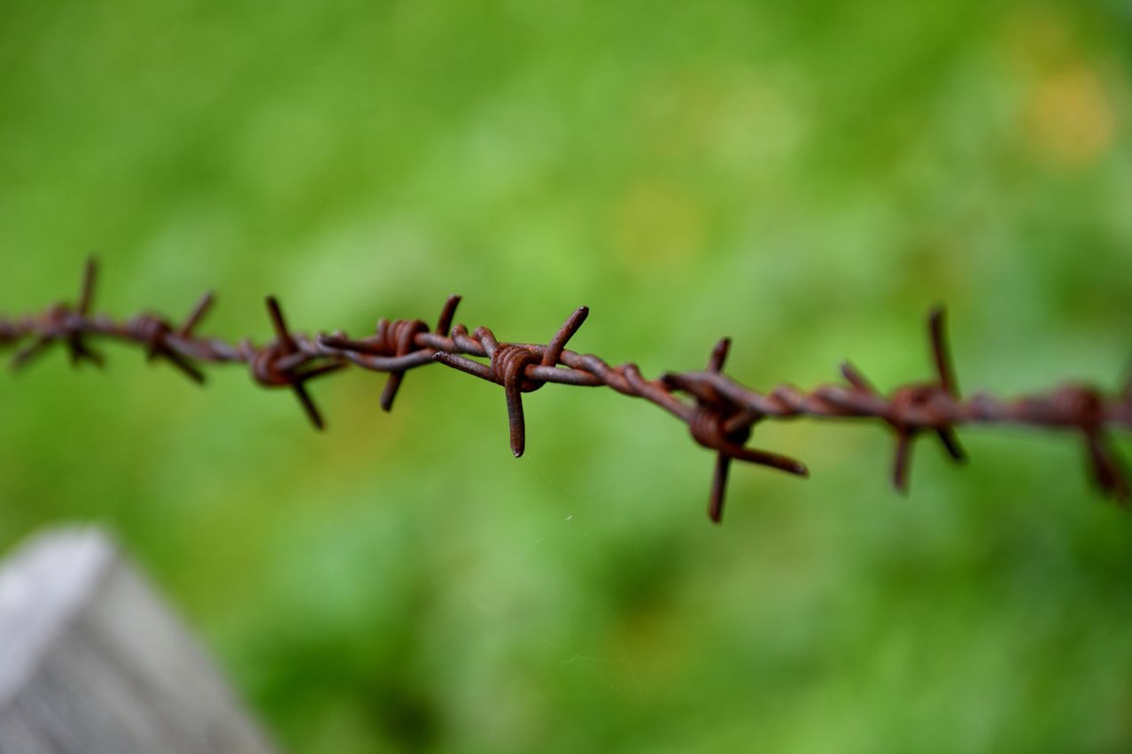 A close-up view of rusty barbed wire against a blurred green background.