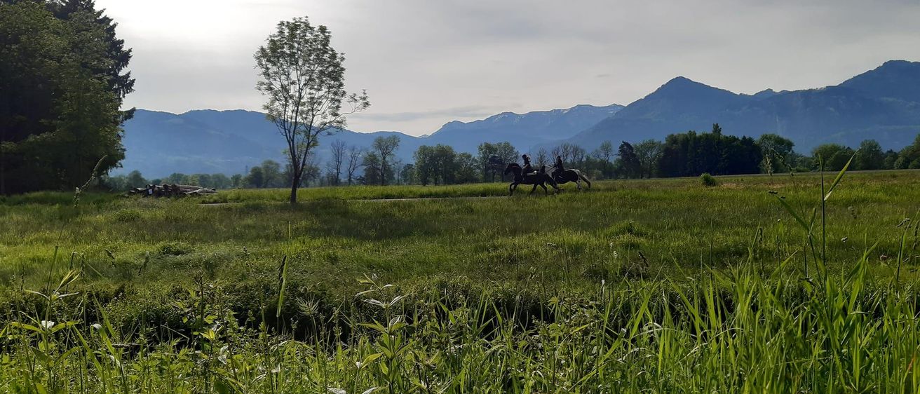 Zwei Personen reiten Pferde in einem weiten Feld mit einem Baum und Bergen in der Ferne. Der Himmel ist bewölkt.