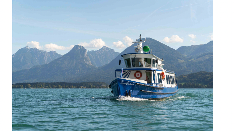 v1_migrated_image_56811823