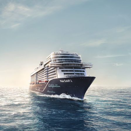 Ein großes Kreuzfahrtschiff fährt mitten im Ozean bei klarem Himmel und Bergen im Hintergrund.