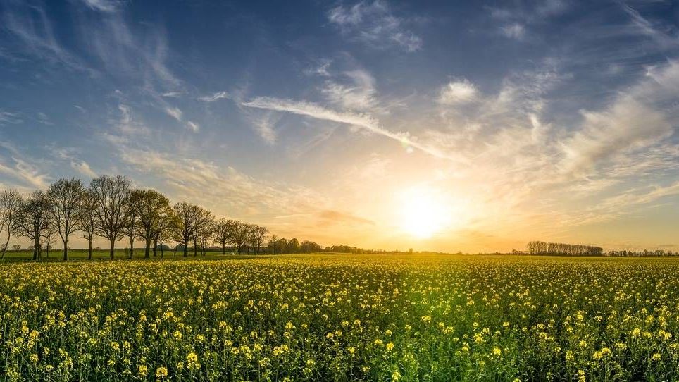 v1_migrated_image_86303638