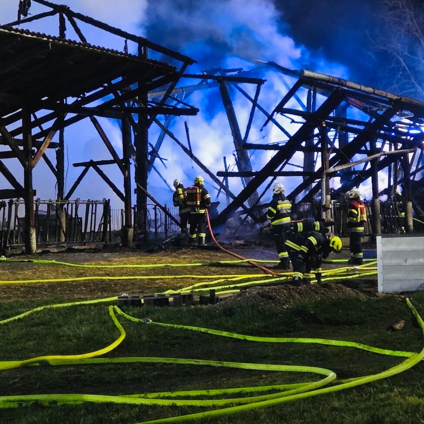Feuerwehrleute bekämpfen einen Brand in einem Stall mithilfe von Schläuchen. Das Gebäude ist teilweise eingestürzt. Rauch steigt im Hintergrund auf.