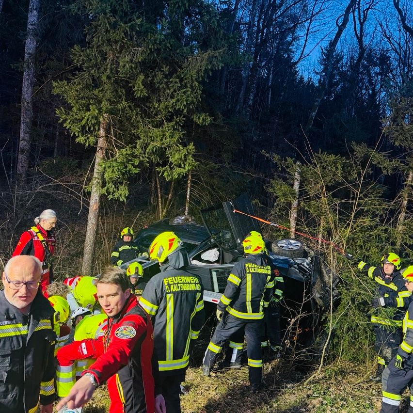 Ein Autounfall ereignete sich in einem bewaldeten Gebiet. Rettungskräfte kümmern sich um Personen in roten und gelben Uniformen. Ein Mann mit Brille steht in der Nähe.