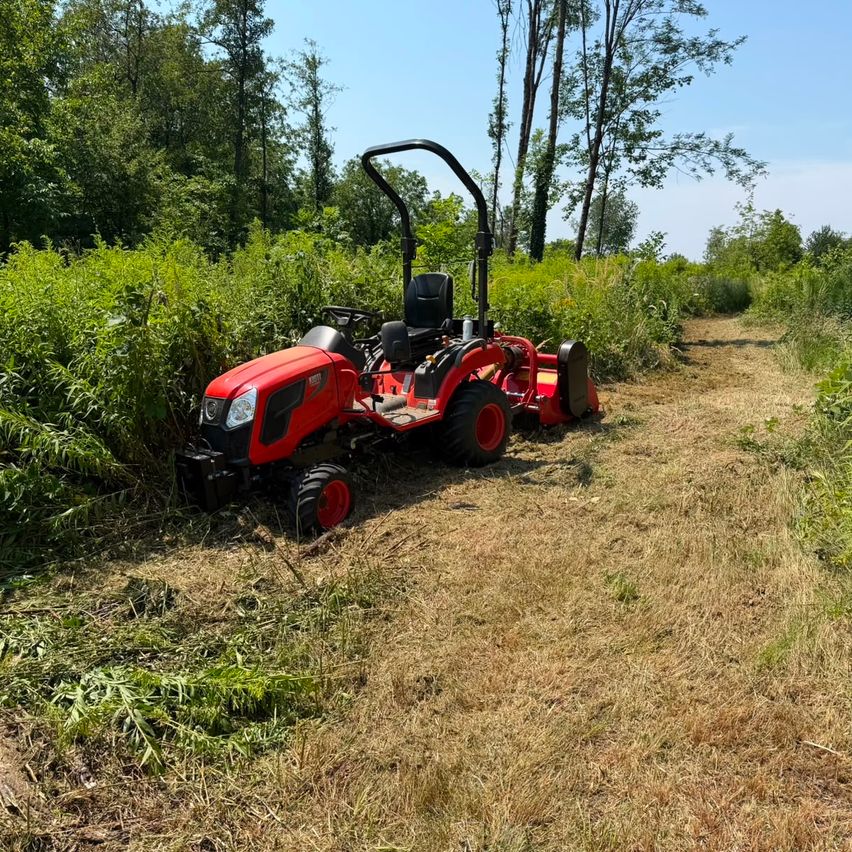 Ein roter Traktor steht auf einem Feld mit hohem Gras und Büschen. Der Traktor schaut nach links, und der Himmel ist klar.