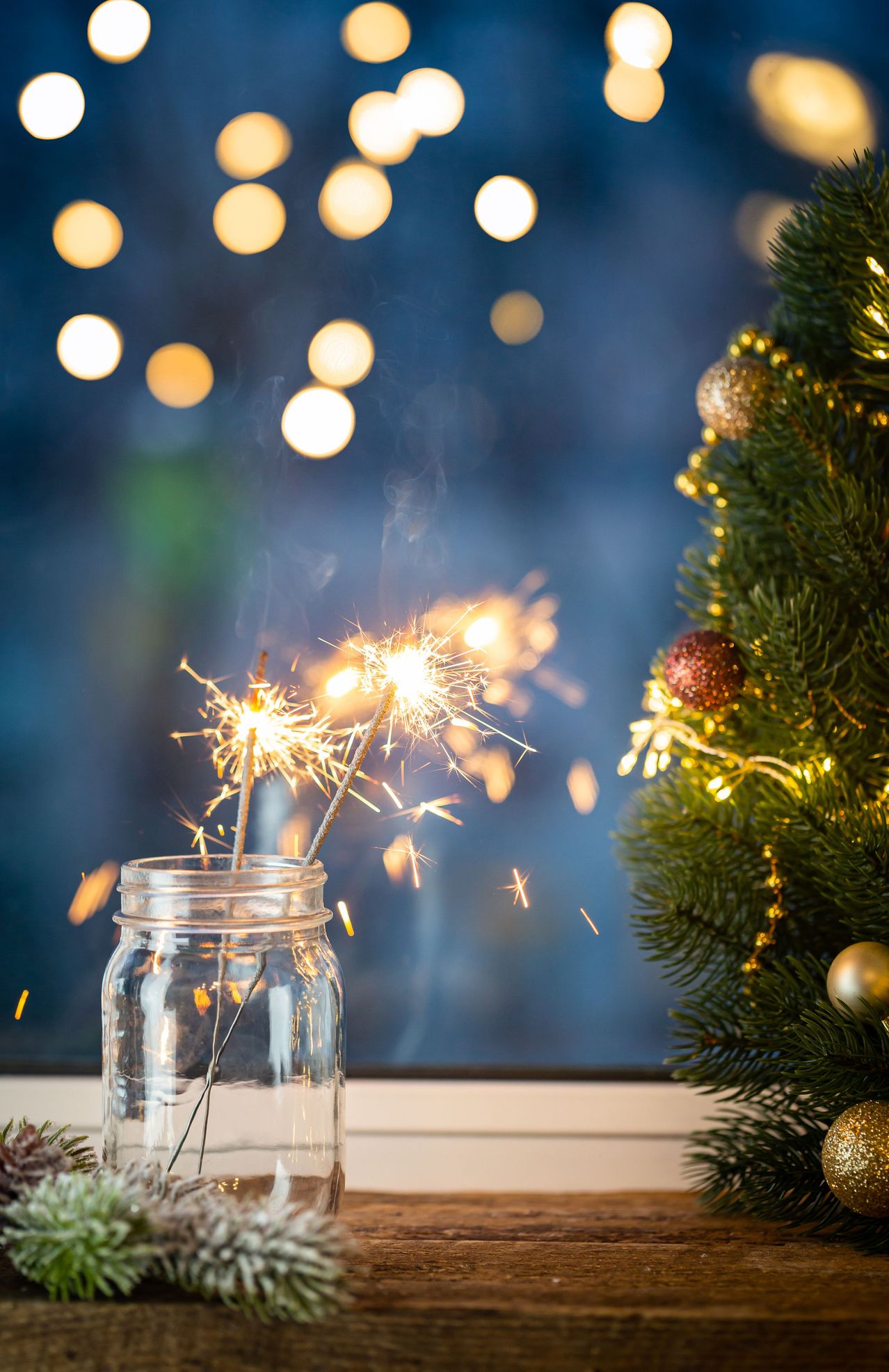 Bild enthält, Mason Jar, Plant, Tree