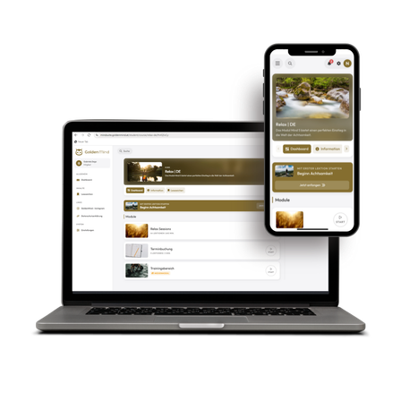 Image contains, Computer, Electronics, Laptop, Pc, Mobile Phone, Phone, Screen, Computer Hardware, Hardware, Monitor