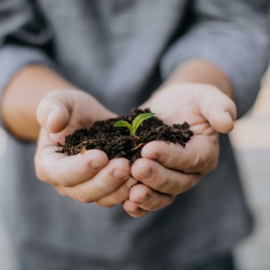 Bild enthält, Soil, Finger, Hand, Person, Outdoors, Garden, Nature