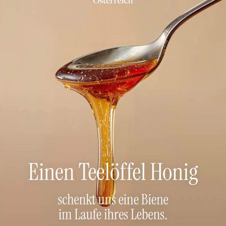 Honig tropft von einem Löffel, mit Textüberlagerung auf Deutsch, zeigt einen einzigen Teelöffel Honig, den eine Biene im Laufe ihres Lebens spendet.