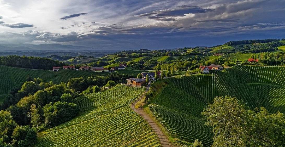 v1_migrated_image_44558896