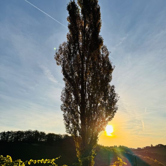 Sonnenaufgang 