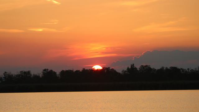 v1_migrated_image_19293708