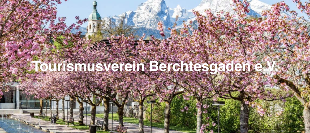 Ein Weg mit Kirschblütenbäumen vor einem Gebäude und einer Bergkette im Hintergrund.