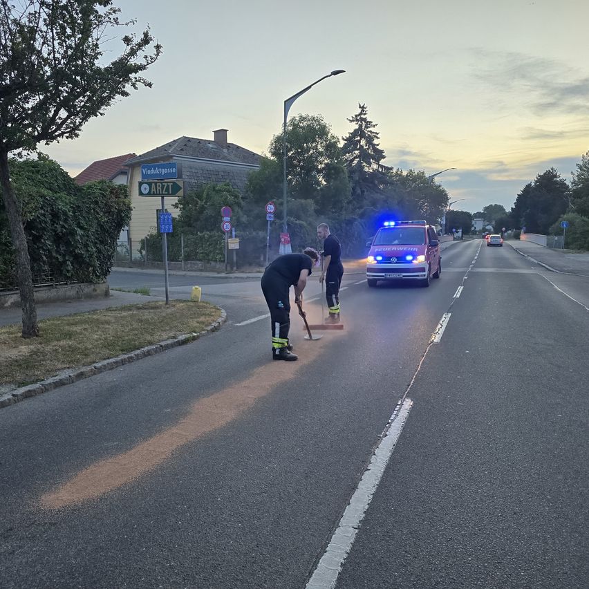 Two workers are cleaning the road with a broom and dustpan. A red emergency vehicle is parked nearby.