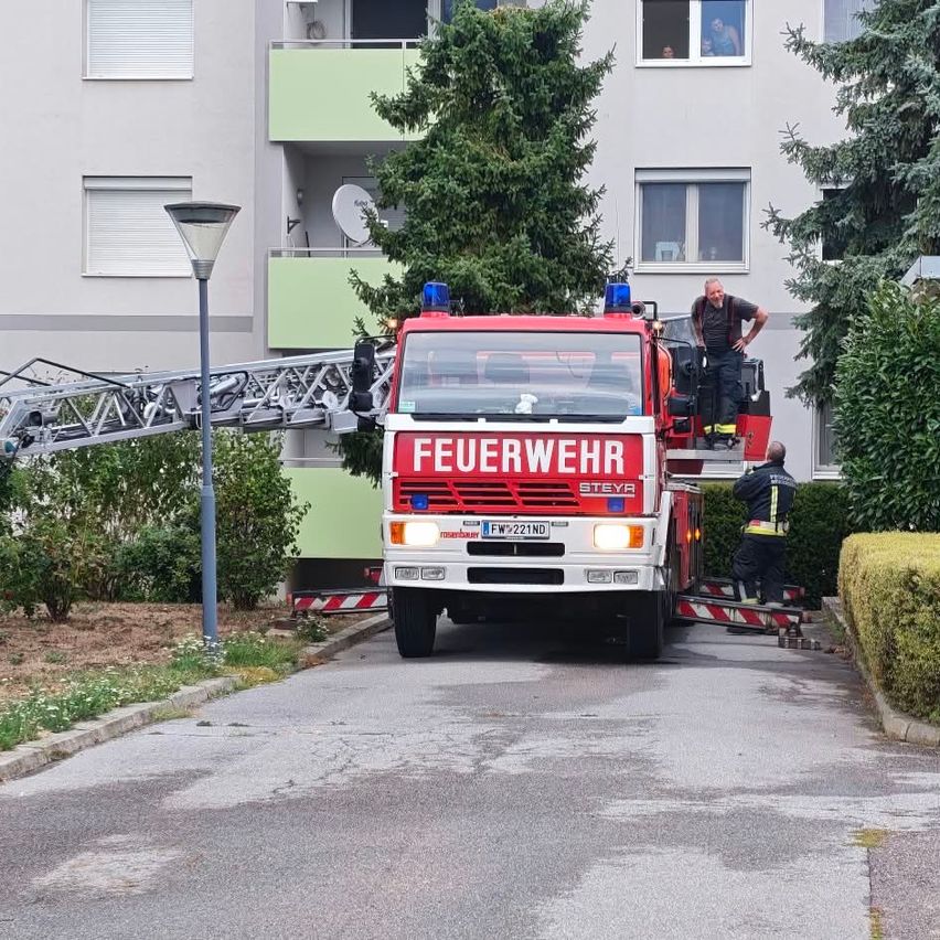 Ein roter Feuerwehrwagen mit der Aufschrift 'Feuerwehr' steht mit ausgefahrener Leiter am Straßenrand. Ein Feuerwehrmann steht auf der Leiter, während ein anderer am Boden steht.