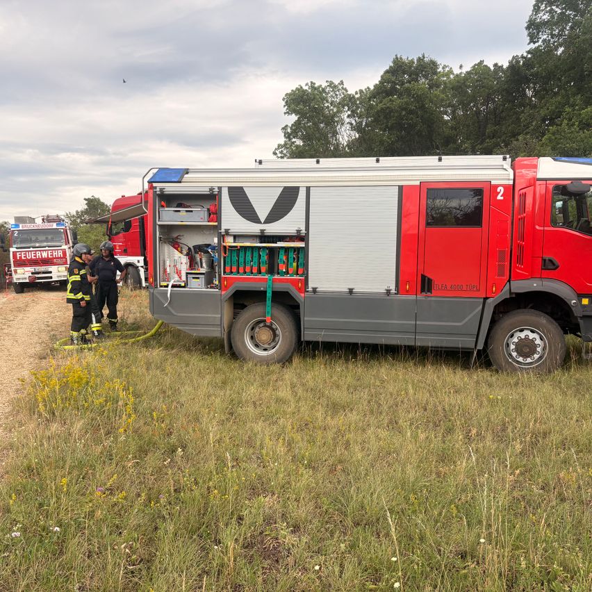 A red fire truck with firefighters nearby in a grassy field with other fire trucks in the background.