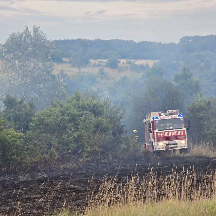 A firefighting truck with blue lights is driving through a field with burnt grass and trees, possibly responding to a fire.