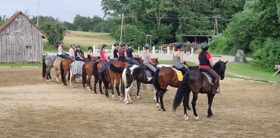 v1_migrated_image_87765169