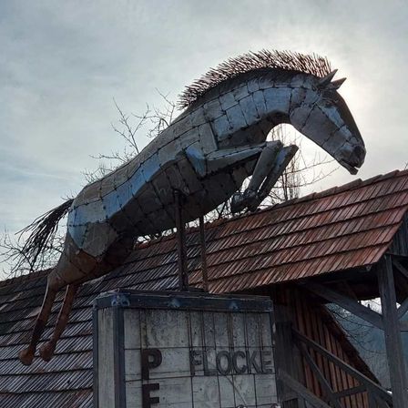 v1_migrated_image_19245902