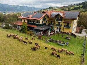 Luftaufnahme eines gelben Hauses mit Solarpanelen und Schafen, die davor grasen, Menschen genießen einen Außenbereich mit Tischen und Stühlen.