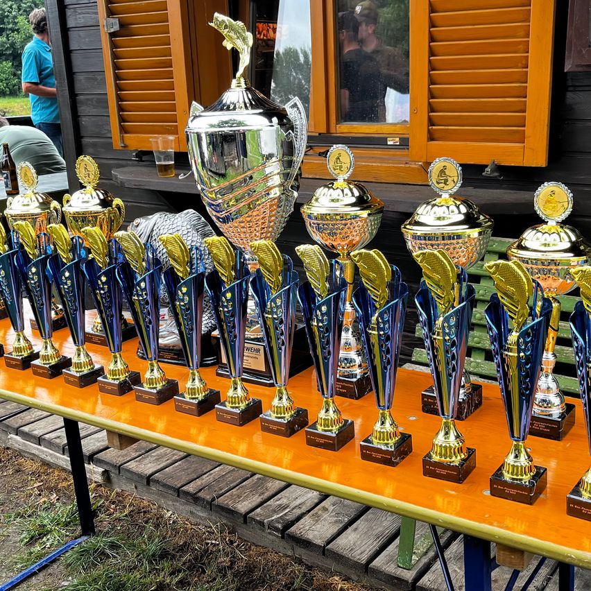 Eine Reihe von Trophäen mit verschiedenen Designs wird auf einem orangefarbenen Tisch vor einem Gebäude mit Holzläden ausgestellt. Hinter den Trophäen befindet sich ein Glasfenster, das einen Mann in einem Hut reflektiert.