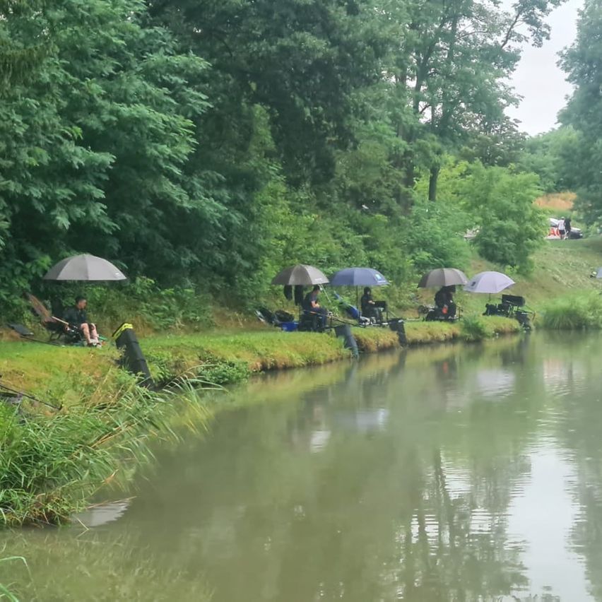 Mehrere Personen angeln am Flussufer, jede unter einem Regenschirm. Das Gebiet ist von Bäumen und Gras umgeben, in der Nähe ist ein Fahrzeug geparkt.