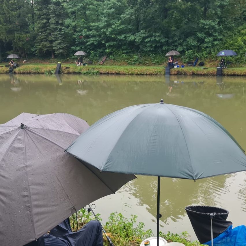 Eine Gruppe von Menschen fischen am See. Sie haben Regenschirme zum Schutz vor dem Regen. Der See ist ruhig mit Spiegelungen der Bäume.