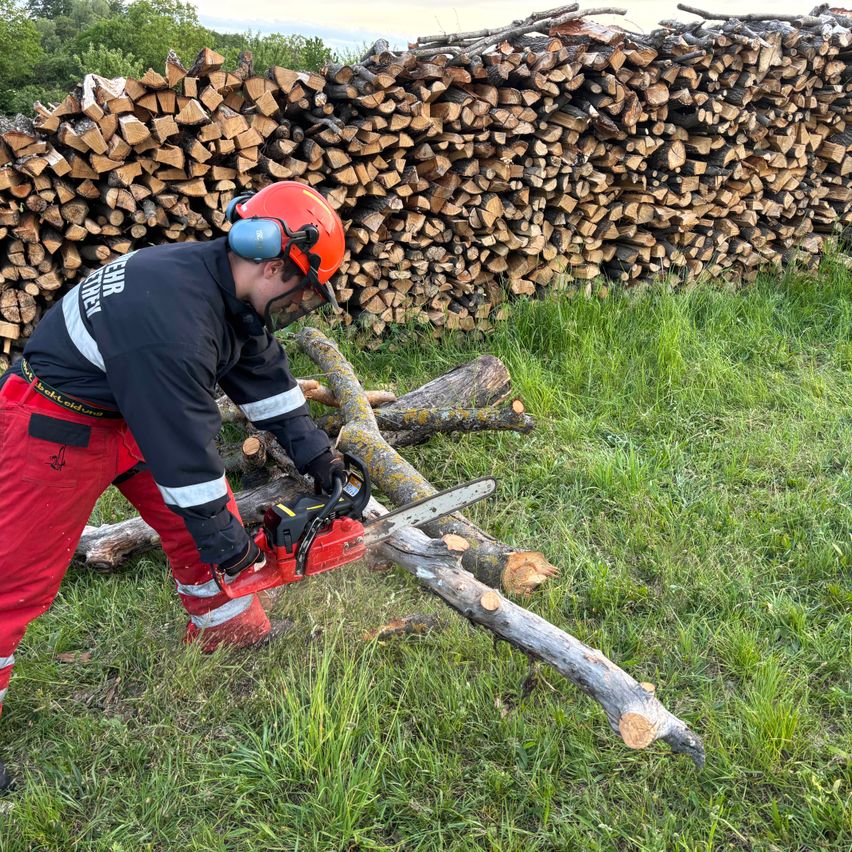 Ein Mann säg einen Baumzweig mit einer Kettensäge ab, während er Schutzausrüstung trägt. Dahinter befindet sich ein Stapel Holz.