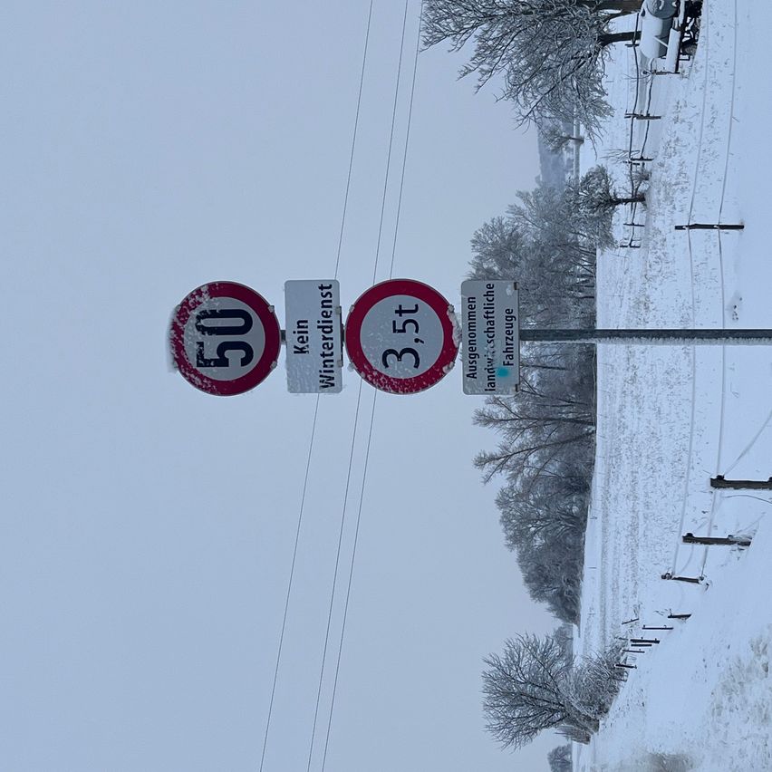 Eine verschneite Straße mit Geschwindigkeitsbegrenzungsschildern, die 50 und 3,5 km/h anzeigen. Bäume und Drähte umgeben das Gebiet.