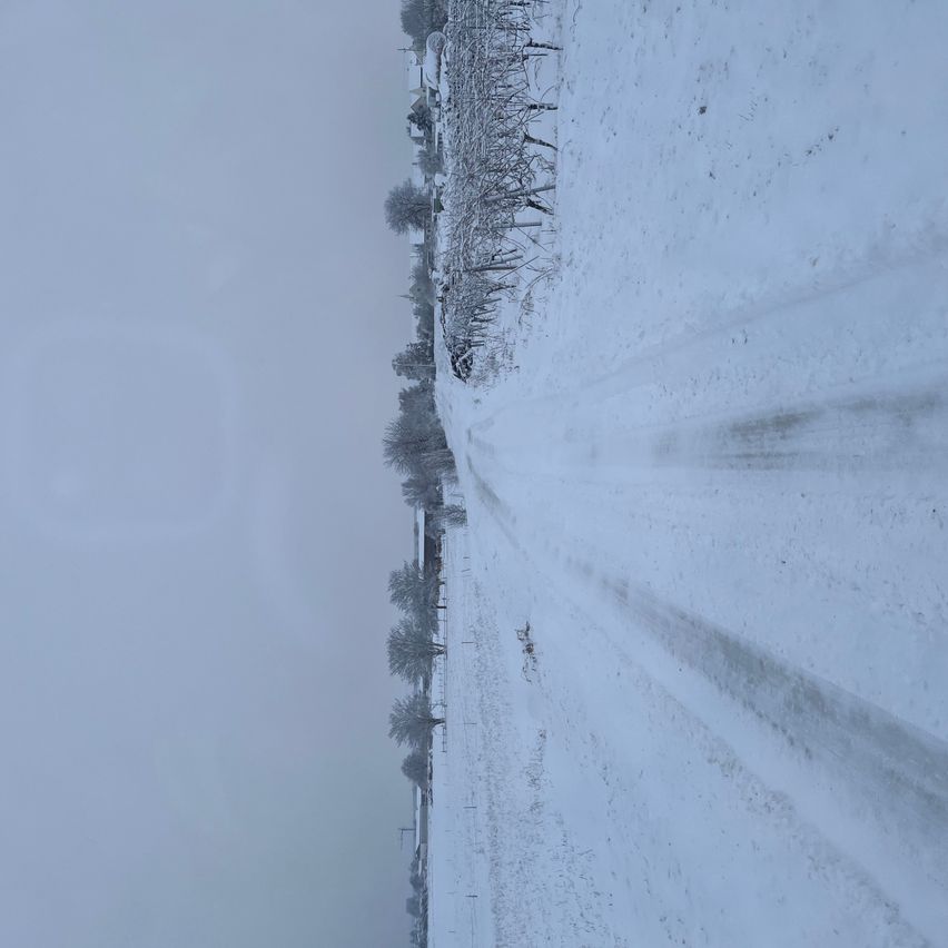 Eine verschneite Straße erstreckt sich durch eine Winterlandschaft mit Bäumen und Häusern an der Seite.