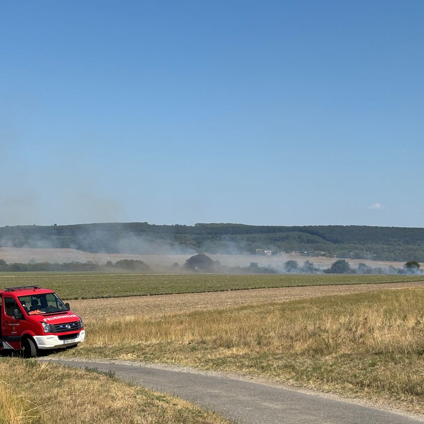Ein roter Feuerwehrwagen steht am Straßenrand, mit einem Feld und entfernten Hügeln im Hintergrund, und Rauch steigt von den Hügeln auf.