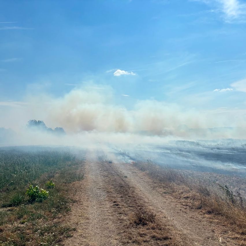 Ein Feldweg führt durch ein Grasfeld, wobei Rauch aus einem Feuer in der Ferne unter einem blauen Himmel mit verstreuten Wolken aufsteigt.