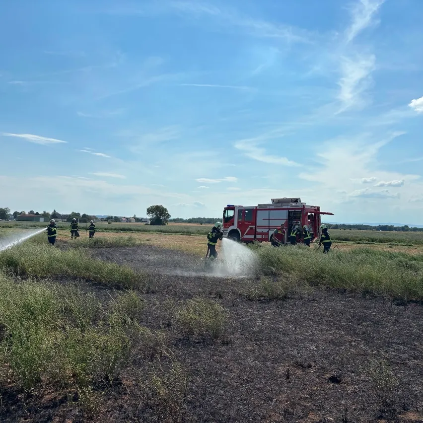 Feuerwehrleute sprühen Wasser auf ein teilweise verbranntes Feld. Der Himmel ist klar mit einigen Wolken.