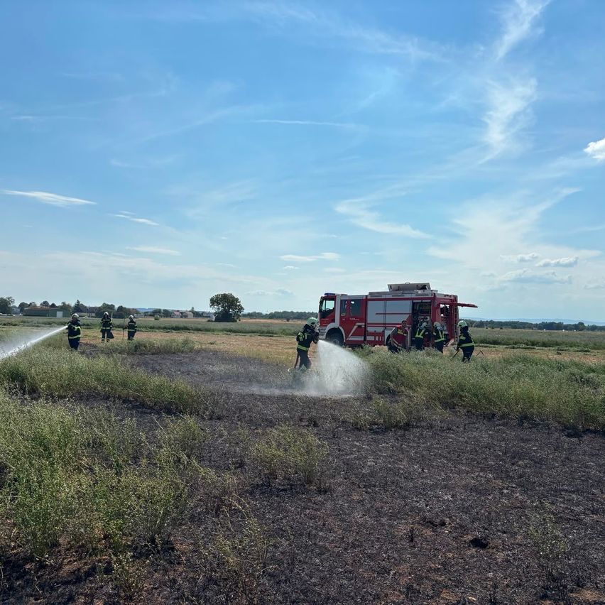 Feuerwehrleute sprühen Wasser auf ein teilweise verbranntes Feld. Der Himmel ist klar mit einigen Wolken.