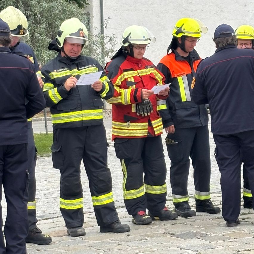 Feuerwehrleute in reflektierenden Uniformen stehen auf Kopfsteinpflaster und lesen Papiere. Helme und Handschuhe sind sichtbar. Bäume und Gebäude im Hintergrund.