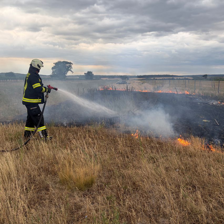 Ein Feuerwehrmann in voller Ausrüstung steht in einem Feld mit trockenem Gras und spritzt Wasser, um ein Flächenfeuer zu löschen.