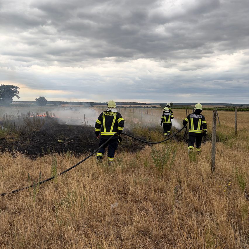 Drei Feuerwehrleute in Schutzkleidung löschen ein Feuer in einem Feld unter einem bewölkten Himmel.