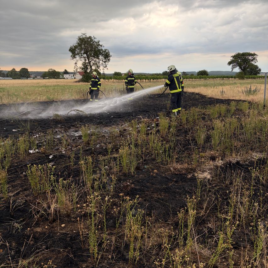 Drei Feuerwehrleute sprühen Wasser auf ein Feld mit verkohltem Gras und Pflanzen. Der Himmel ist bewölkt und in der Ferne sind Bäume und Häuser zu sehen.