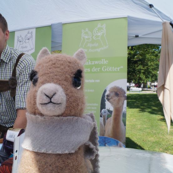 Ein gefütterter Alpaka in einem Schal steht vor einem Stand mit einem grünen Banner, einem lächelnden Mann und Bäumen im Hintergrund.