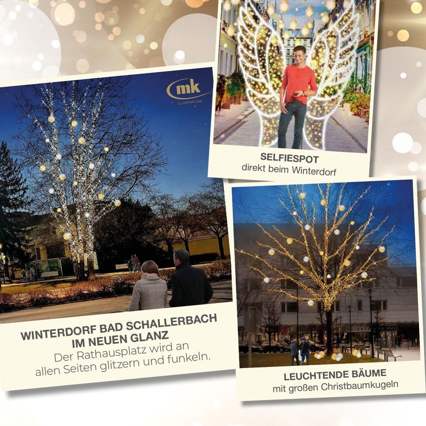 Bild enthält, Advertisement, Poster, Adult, Male, Man, Person, Plant, Tree, Lighting, Car