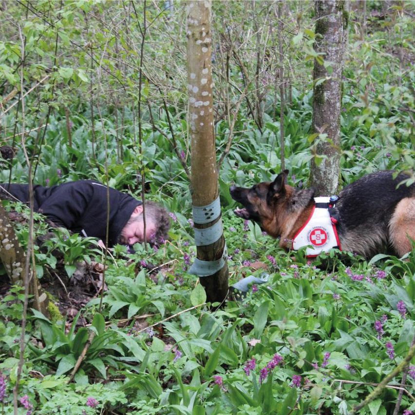 Ein Mann in einem schwarzen Jacken liegt mit dem Kopf auf dem Boden im Wald. Ein Hund mit einem roten und weißen Vest mit einem Logo riecht am Boden.
