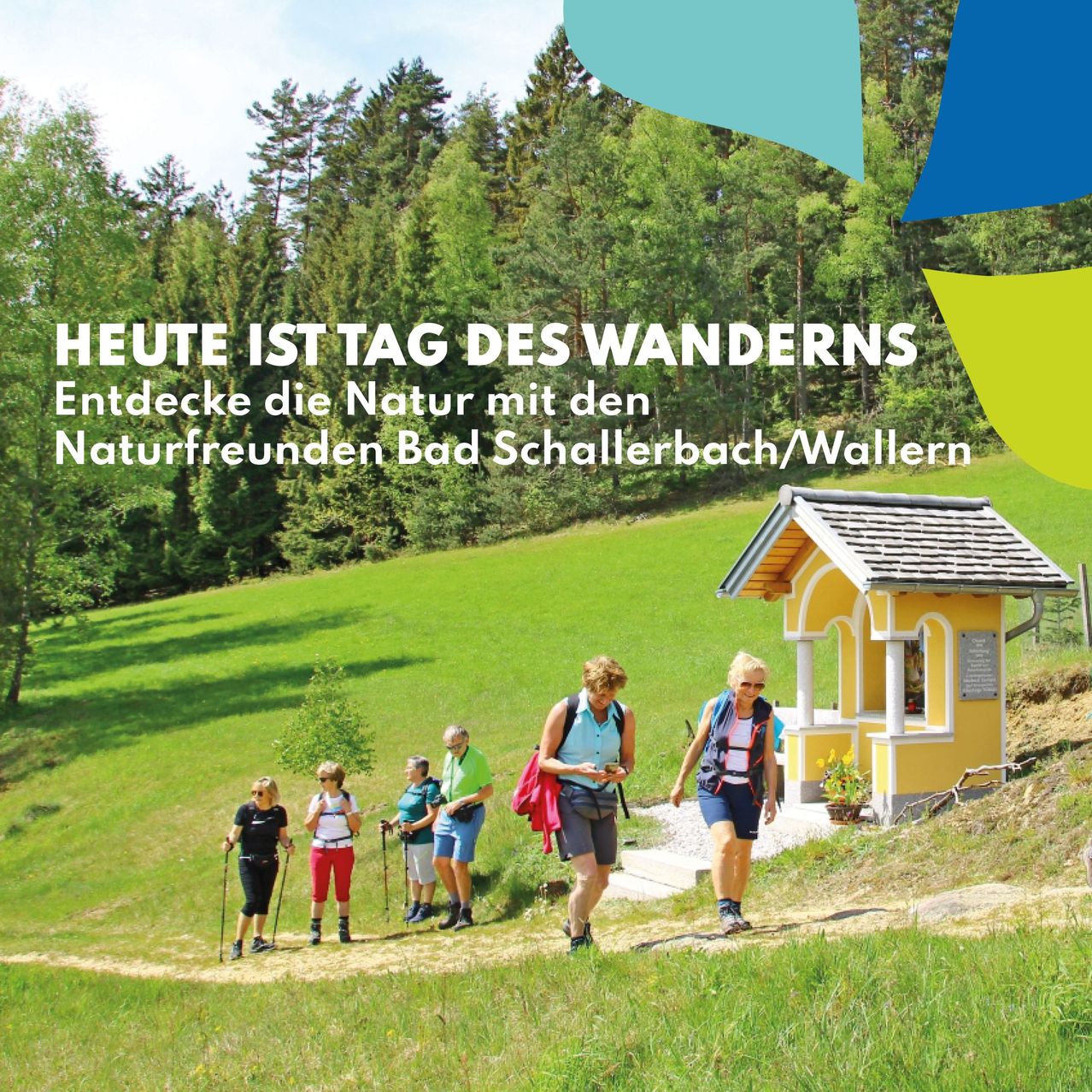 Eine Gruppe Wanderer, die in einem grünen Feld wandern und die Natur mit den Naturfreunden in Bad Schallerbach/Wallern erkunden.