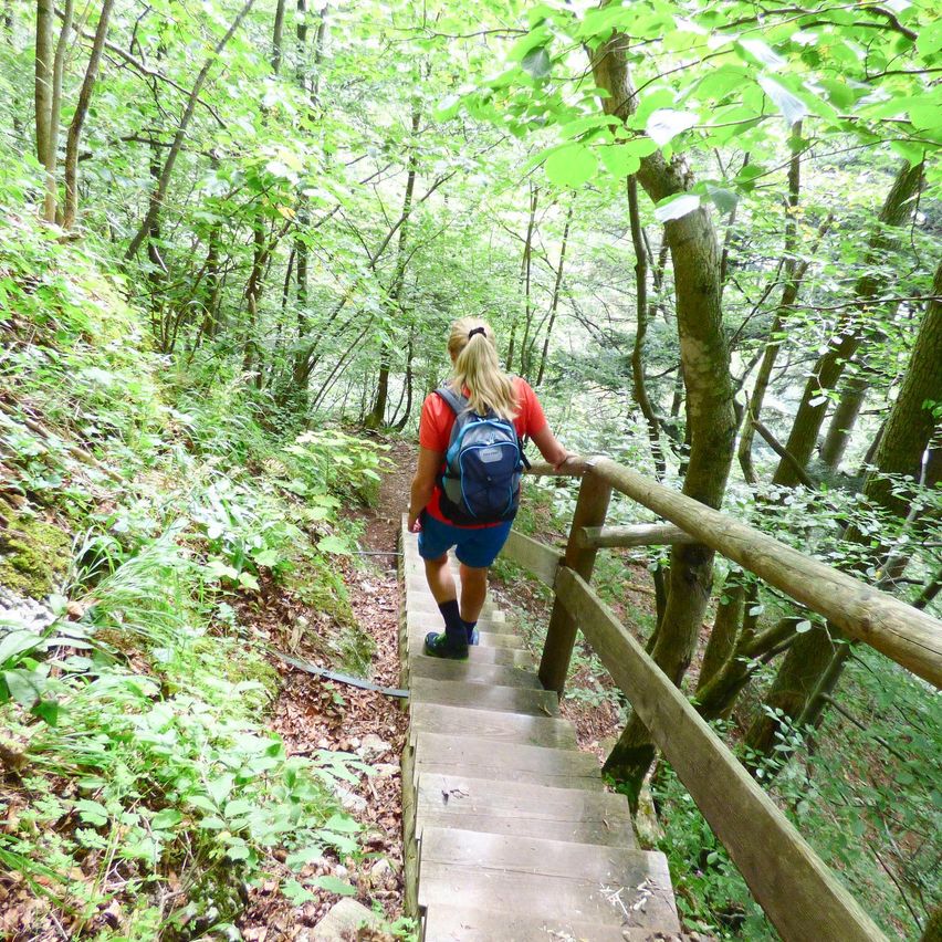 Eine Frau wandert einen bewaldeten Pfad hinauf und hält sich an einem Holzgeländer fest. Sie trägt ein rotes Shirt, blaue Shorts und einen blauen Rucksack.